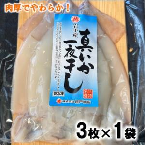 北三陸産 イカ一夜干し 3枚入×1袋 いか イカ焼き いかめし