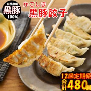 ふるさと納税 薩摩川内市 【12回定期便】かごしま黒豚餃子 合計480個 JS-110