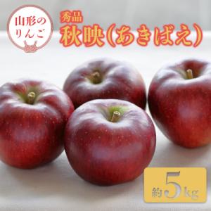 【2026年発送】「秀品」山形のりんご(秋映)約5kg_H162(R8)