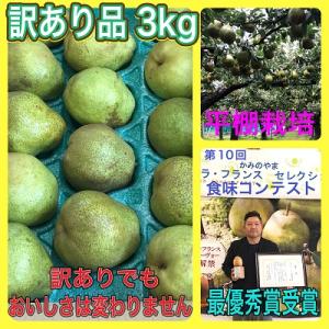 西洋梨(ラ・フランス)3kg　ご家庭用　0102-2604