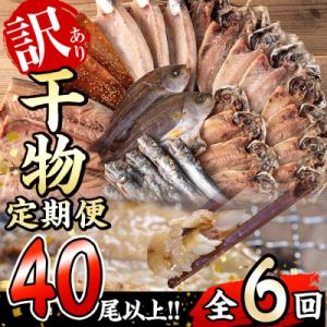 ふるさと納税 佐伯市 &lt;定期便・全6回 (隔月)&gt;訳あり 干物大満足BOX (40尾以上)