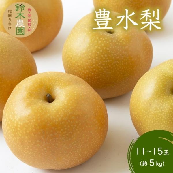 ふるさと納税 うきは市 【先行受付】鈴木農園 特撰甘果逸品 豊水梨 11から15玉 (約5kg)