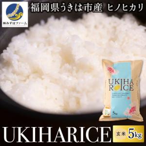 ふるさと納税 うきは市 みずほファーム UKIHA RICE 玄米5kg