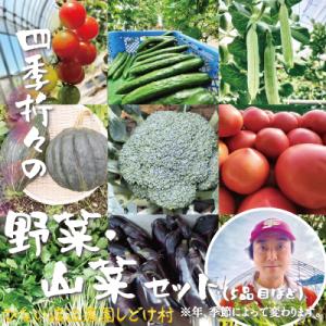 四季折々の野菜・山菜セット(5品目ほど)