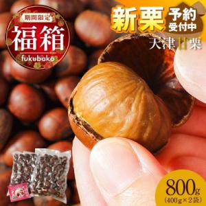 福箱2027【新栗予約】この道50年の職人が焼くやさしい甘みの「天津甘栗」800g H045-110
