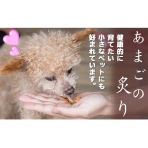 ふるさと納税 熊野市 あまごの炙り　1袋(2枚)　ひれ酒　ペットのおやつ