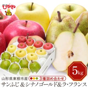 【2026年産】サンふじ&シナノゴールド&ラフランス 詰め合わせ 5kg hi027-213-r8
