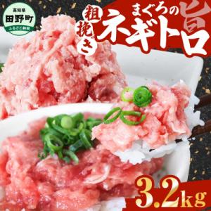 ふるさと納税 田野町 【四国一小さなまち】≪カネアリ水産≫ まぐろのネギトロ 3.2kg(80g×4...