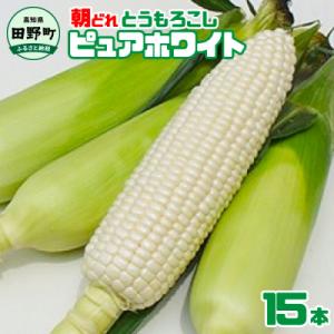 ふるさと納税 田野町 【四国一小さなまちのとうもろこし】先行受付★2024年6月中旬発送開始予定★ピ...