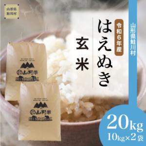 ふるさと納税 鮭川村 &lt;令和6年産米&gt; 2024年10月中旬発送　はえぬき【玄米】20kg(10kg...