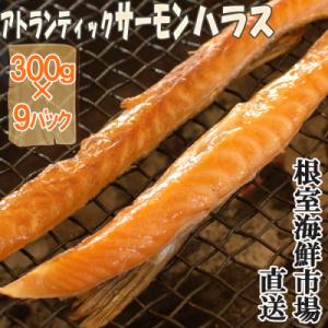 ふるさと納税 根室市 無添加甘塩サーモンハラス300g×9P(計2.7kg) A-14249