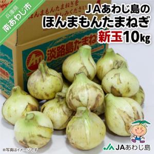 ふるさと納税 南あわじ市 JAあわじ島のほんまもんたまねぎ【10kg】新玉ねぎ早生種