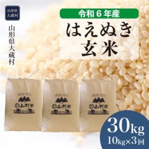 ふるさと納税 大蔵村 ◇令和6年産◇ 2024年10月中旬〜発送　はえぬき【玄米】30kg定期便(1...