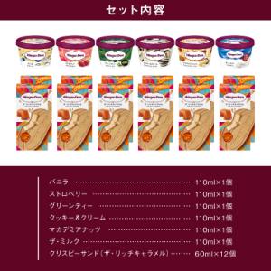 ふるさと納税 浜中町 ハーゲンダッツ『ミニカッ...の詳細画像2