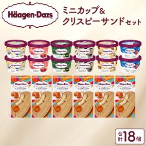 アイス ハーゲンダッツ ミニカップ12個&クリスピーサンド6個_H0016-126