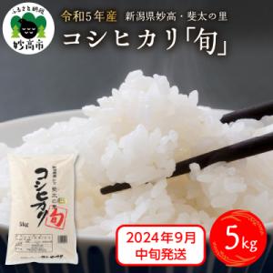 ふるさと納税 妙高市 【2024年9月中旬発送】【令和5年産米】新潟県妙高産斐太の里コシヒカリ旬5k...