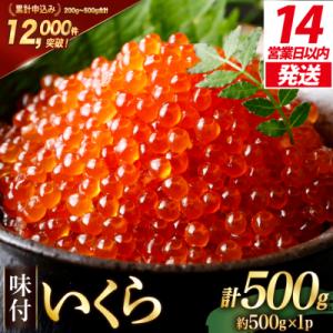 【14日以内に発送】いくら 鱒卵 500g 鱒いくら 20564995 小分け 味付いくら