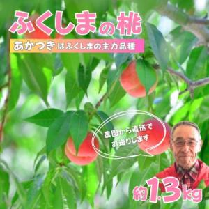 ふるさと納税 福島市 【限定50箱】ふくしまのもも　あかつき 約1.3kg【2024年発送】No.2898｜y-sf