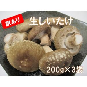 ふるさと納税 佐那河内村 「訳あり」生しいたけ　200g×3袋(サイズ混合)　※離島不可｜y-sf