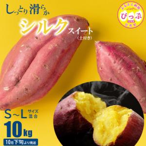 【10月下旬より発送】シルクスイート S〜Lサイズ混合 10kg 【北川農園】