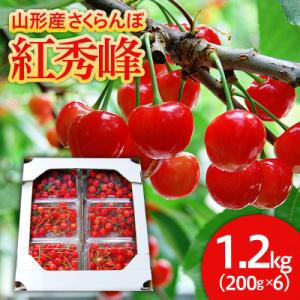 ふるさと納税 山形市 山形のさくらんぼ 紅秀峰 1.2kg(200g×6パック) Lサイズ以上 FU...