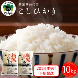 ふるさと納税 妙高市 2024年9月下旬発送　新潟県矢代産コシヒカリ10kg