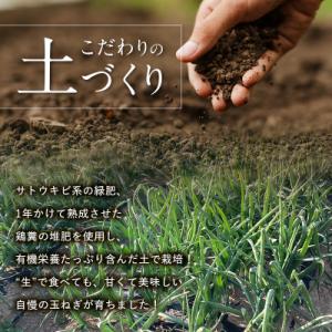 ふるさと納税 富岡市 <2026年発送 ...の詳細画像1