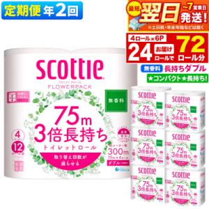 《2回定期便》トイレットペーパー 3倍長持ち 24個 ダブル|15_nsc-100602db