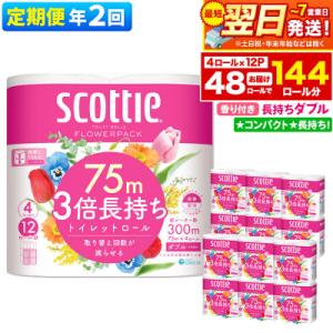 《2回定期便》トイレットペーパー 3倍長持ち 48個 ダブル|15_nsc-101202da