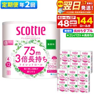 《2回定期便》トイレットペーパー 3倍長持ち 48個 ダブル|15_nsc-101202db