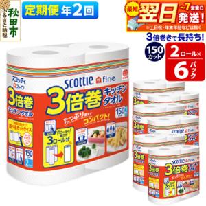 《2回定期便》キッチンペーパー 3倍巻キッチンタオル 12ロール|15_nsc-110602