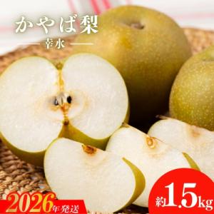 かやば梨「幸水」約1.5kg【2026年発送　先行受付】No.2922