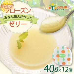 【みかん 職人が作った フローズン ゼリー 】 40g×1種 計12個 河内晩柑 お試し アイス