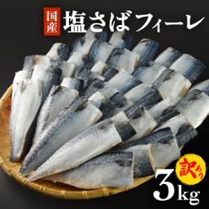 ふるさと納税 気仙沼市 訳あり 塩サバ フィレ 3kg [足利本店 ふるさと納税 気仙沼市 訳あり 塩サバ フィレ 3kg [足利本店