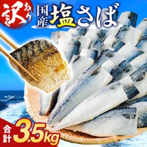 さば 〈 訳あり 〉 国産 塩さば フィーレ 3.5kg 冷凍 切身 フィレ 鯖 不揃い 石巻市