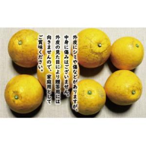 ふるさと納税 愛南町 訳あり 河内晩柑 8kg ...の商品画像