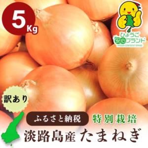 兵庫県認証★特別栽培★淡路島たまねぎ【5kg】 ちょっと訳あり(サイズ不ぞろい、少し変形)