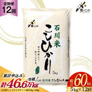 【定期便 12回】【令和7年産】 石川米 こしひかり 5kg 計60kg [38600814]
