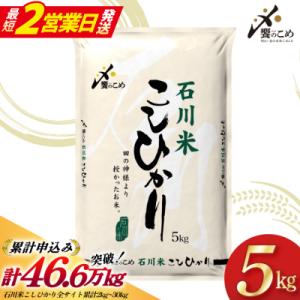 【最短2営業日発送】【令和7年】石川米 こしひかり 5kg  [38601197-sp]