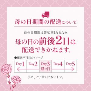 ふるさと納税 三宅町 花束 おまかせ 生花 ギ...の詳細画像2