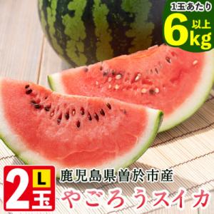 やごろうスイカ【L玉(6kg以上)×2個】