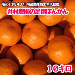 ふるさと納税 土佐清水市 完熟 足摺ぽんかん 1...の商品画像