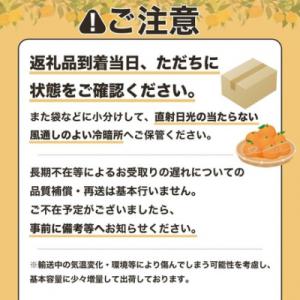 ふるさと納税 土佐清水市 完熟 足摺ぽんかん ...の詳細画像3