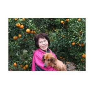 ふるさと納税 土佐清水市 家庭用だけど家庭用じ...の詳細画像2