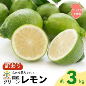 訳あり レモン ( グリーンレモン ) 3kg ノーワックス 種なし 愛南町 みかん職人武田屋