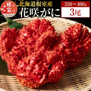 【北海道根室産】花咲かに350～400g×3尾 G-19001