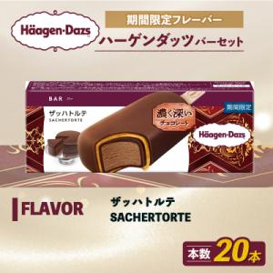 ふるさと納税 松前町 ハーゲンダッツ バー 20...の商品画像