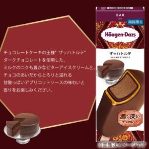 ふるさと納税 松前町 ハーゲンダッツ バー 2...の詳細画像1