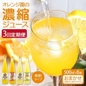 ふるさと納税 土佐清水市 オレンジ園の濃縮ジュー...の商品画像