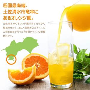 ふるさと納税 土佐清水市 オレンジ園の濃縮ジュ...の詳細画像1